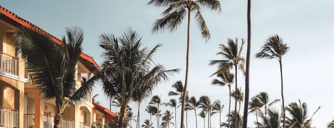 A luxurious poolside scene with sun loungers, tall palm trees, and a grand hotel building under a clear sky, exuding a tropical vacation vibe.