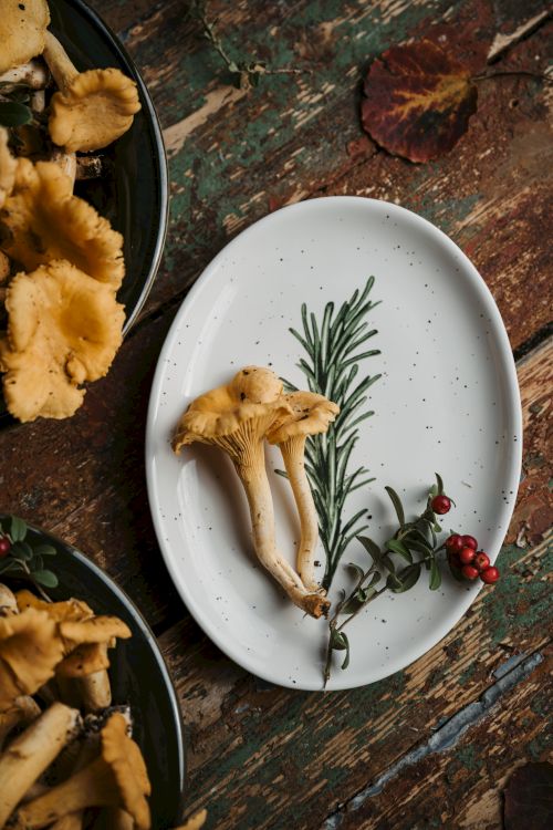 A white oval plate with a yellow mushroom, rosemary sprig, and red berries; other mushrooms are on the side on a rustic wooden table.